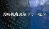 曝央視春晚賀電：一家企業追加30萬元(組圖)