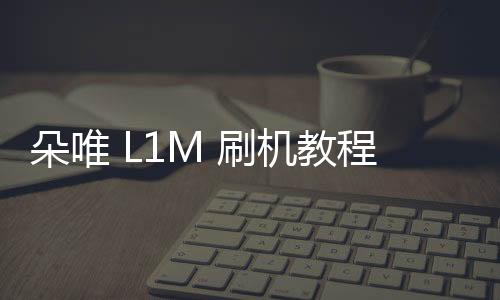 朵唯 L1M 刷機教程