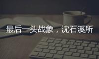 最后一頭戰象，沈石溪所著小說