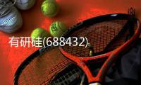 有研硅(688432)