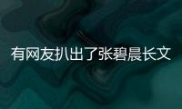 有網友扒出了張碧晨長文的模板 其中約有一半內容都是網上直接照抄