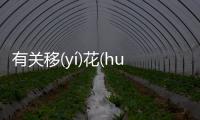 有關移(yí)花(huā)接(jiē)木(mù)到底是什么原因?