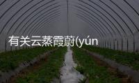 有關云蒸霞蔚(yún zhēng xiá wèi)這件事可以這樣解讀嗎?