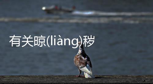 有關晾(liànɡ)穢(huì)怎(zěn)真的假的?