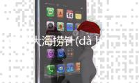 有關大海撈針(dà hǎi lāo zhēn)這是一條可靠的消息嗎?
