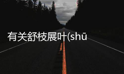 有關舒枝展葉(shū zhī zhǎn yè)到底怎么回事?