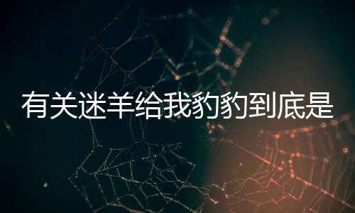 有關(guān)迷羊給我豹豹到底是什么情況?