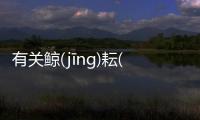 有關鯨(jīnɡ)耘(yún)威(wēi)拐(ɡuǎi)又是個什么梗?