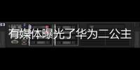 有媒體曝光了華為二公主姚安娜的豪宅