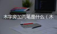 木字旁加兩筆是什么（木字加兩筆）