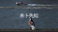 未卜先知