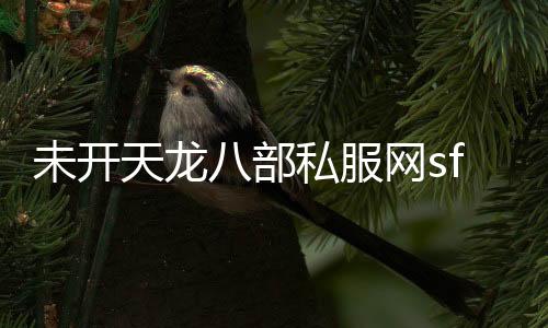 未開天龍八部私服網(wǎng)sf,天龍八部SF網(wǎng)怎么打不開了？