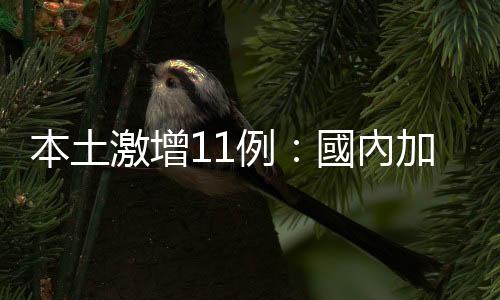 本土激增11例：國內加強口罩措施、長程航班旅客需等PCR結果出爐才能入境