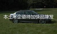 本土車企亟待加快品牌發展與自主創新步伐