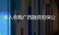 本人收購廣西融資擔保公司2020年