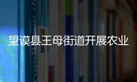 望謨縣王母街道開展農業普查“回頭看”業務培訓