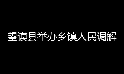 望謨縣舉辦鄉(xiāng)鎮(zhèn)人民調(diào)解員、社區(qū)矯正工作員培訓(xùn)會(huì)