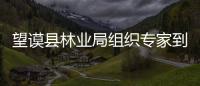 望謨縣林業局組織專家到村寨開展板栗栽培技術培訓