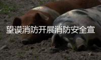 望謨消防開展消防安全宣傳