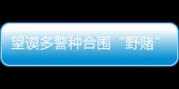 望謨多警種合圍“野賭”窩點 當場抓獲三十余人