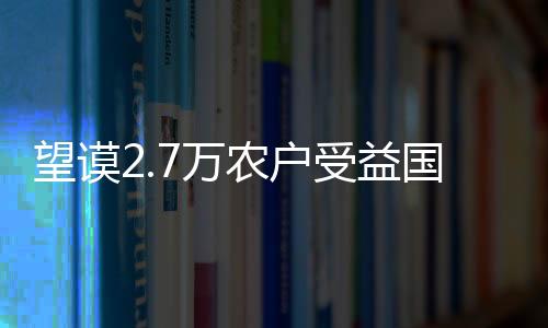 望謨2.7萬農戶受益國家“公益林”補貼