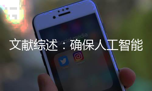 文獻綜述：確保人工智能可解釋性和可信度的來源記錄