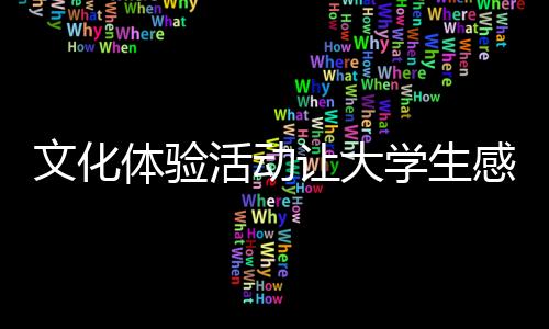 文化體驗活動讓大學生感受“傳統之美”