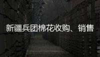 新疆兵團棉花收購、銷售、庫存、發運情況分析