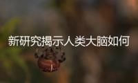 新研究揭示人類大腦如何處理數字零