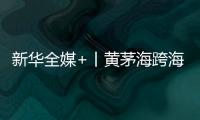 新華全媒+丨黃茅海跨海通道通車 粵港澳大灣區再添“關鍵一橫”