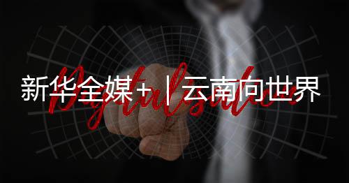 新華全媒+｜云南向世界發出“有一種叫云南的生活”國際邀請