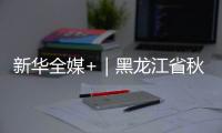 新華全媒+｜黑龍江省秋收告捷曬糧忙