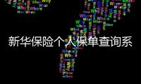 新華保險個人保單查詢系統(tǒng)（新華保險保單網(wǎng)上查詢）