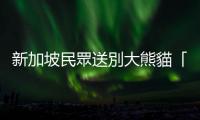 新加坡民眾送別大熊貓「叻叻」：「願你給更多人帶來快樂」