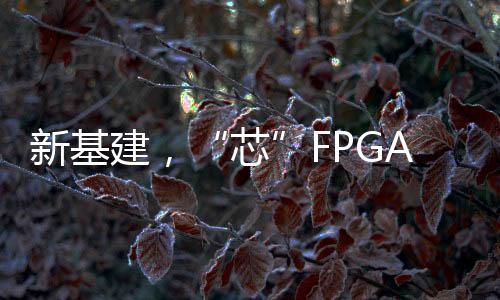 新基建，“芯”FPGA