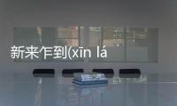 新來乍到(xīn lái zhà dào)究竟什么情況?