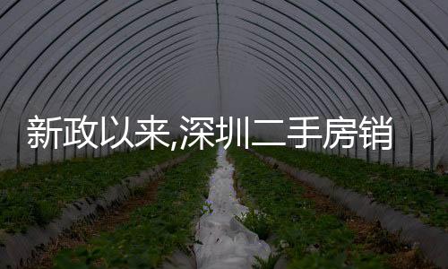 新政以來,深圳二手房銷售價格環比首次轉正