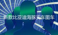 新款比亞迪海豚實車圖車長增加130mm外觀更動感可選裝智駕