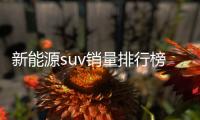 新能源suv銷量排行榜前十名（suv銷量排行榜前十名）