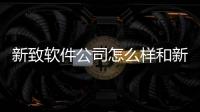 新致軟件公司怎么樣和新致軟件是科技公司嗎的詳細介紹