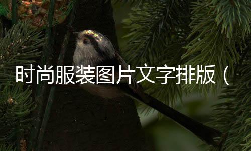 時尚服裝圖片文字排版（時尚服裝大片圖片）