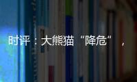 時評：大熊貓“降危”，但生態保護不能降級