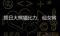 旅日大熊貓比力、仙女將提前回國 因健康問題