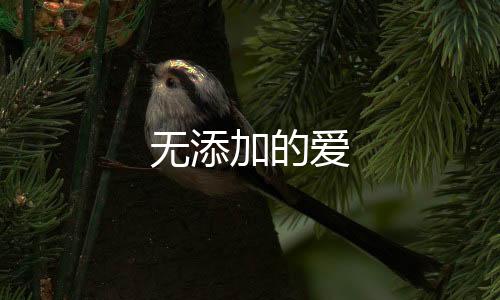 無添加的愛