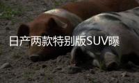 日產兩款特別版SUV曝光 搭V6發動機