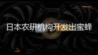 日本農研機構開發出蜜蜂“8字舞”自動解讀技術