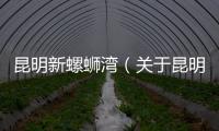 昆明新螺螄灣（關于昆明新螺螄灣的基本情況說明介紹）