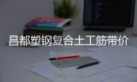 昌都塑鋼復(fù)合土工筋帶價格