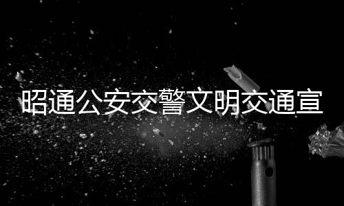 昭通公安交警文明交通宣講進機關、進企業