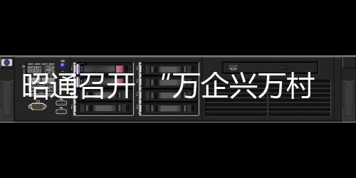 昭通召開 “萬企興萬村”行動推進會